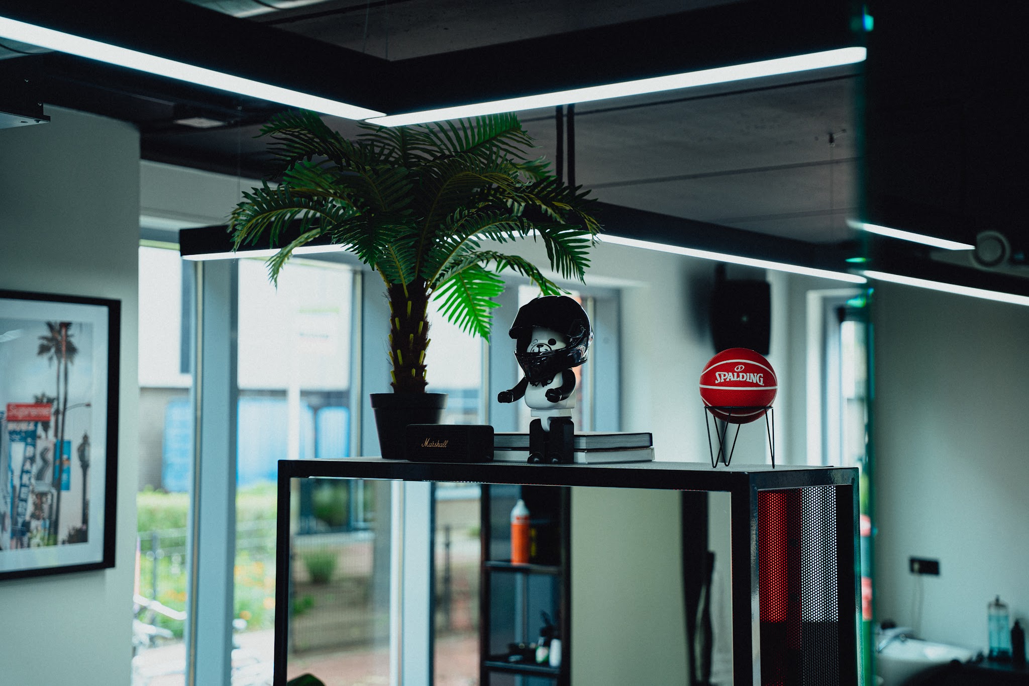 Het interieur: een palm op een zwarte kast met flessen, ingelijste prints aan de muur en lichtbalken aan het plafond